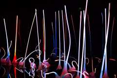 2019-07-05-Seattle-13-Chihuly-Ausstellung-1