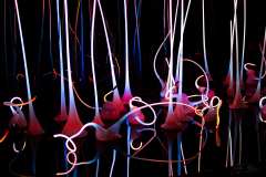 2019-07-05-Seattle-14-Chihuly-Ausstellung-2