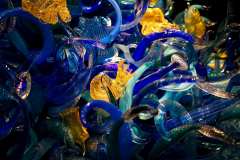2019-07-05-Seattle-19-Chihuly-Ausstellung-7