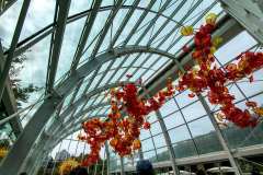2019-07-05-Seattle-25-Chihuly-Ausstellung-13