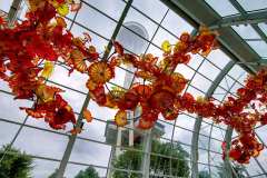 2019-07-05-Seattle-26-Chihuly-Ausstellung-14