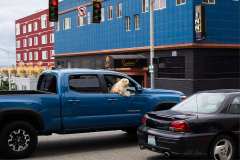 2019-07-05-Seattle-27-Hund-als-Beifahrer