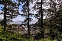 2019-07-10-Vancouver-Island-17-Ucluelet-Ausblic-auf-den-Pazifik-3