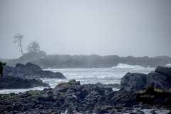 2019-07-11-Vancouver-Island-01-Ucluelet-Aussicht-vom-Hotel