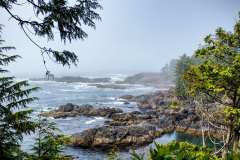 2019-07-11-Vancouver-Island-09-Ucluelet-Lighthouse-Loop-08