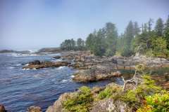 2019-07-11-Vancouver-Island-11-Ucluelet-Lighthouse-Loop-10