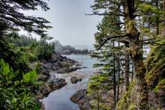 2019-07-11-Vancouver-Island-12-Ucluelet-Lighthouse-Loop-11