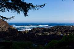 2019-07-11-Vancouver-Island-25-Ucluelet-Wild-Pacific-Trail-03