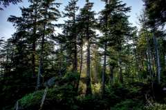 2019-07-11-Vancouver-Island-33-Ucluelet-Wild-Pacific-Trail-11