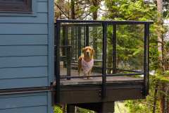 2019-07-13-Vancouver-Island-01-Ucluelet-01-Hund