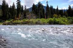 2019-07-14-Olympic-National-Park-23