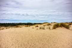 2019-07-17-Newport-Bandon-07-Dunes-03