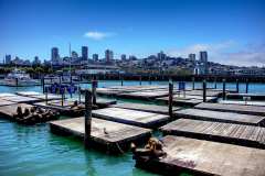 2019-07-23-San-Francisco-08-Pier-39-Seals-und-Skyline