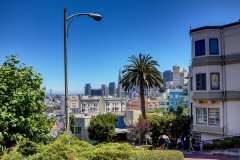 2019-07-23-San-Francisco-18-Lombard-Street-Down-Town