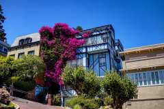 2019-07-23-San-Francisco-22-Lombard-Street-Haeuserfront