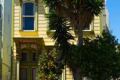 2019-07-24-San-Francisco-29-Mission-Districh-Haus