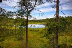 2021-07-05-Tyresta-nationalpark-04