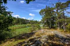 2021-07-08-Aelgoe-08