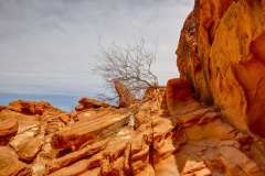 2022-04-11-Valley-of-Fire-04