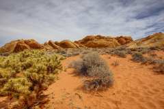 2022-04-11-Valley-of-Fire-10