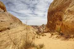 2022-04-11-Valley-of-Fire-18