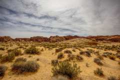 2022-04-11-Valley-of-Fire-22