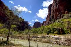 2022-04-12-Zion-NP-06