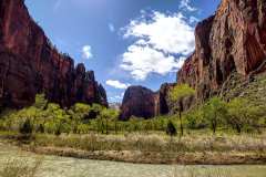 2022-04-12-Zion-NP-07