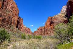 2022-04-12-Zion-NP-08