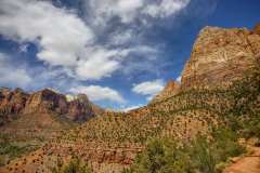 2022-04-12-Zion-NP-14