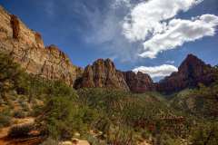 2022-04-12-Zion-NP-15