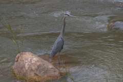 2022-04-12-Zion-NP-20