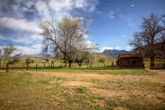 2022-04-12-Zion-NP-26-Grafton-Ghost-Town