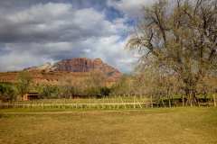 2022-04-12-Zion-NP-29-Grafton-Ghost-Town