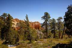 2022-04-13-C-Bryce-Canyon-01