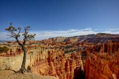 2022-04-13-C-Bryce-Canyon-15