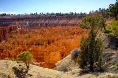 2022-04-13-C-Bryce-Canyon-16