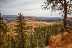 2022-04-14-Bryce-Canyon-01