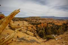 2022-04-14-Bryce-Canyon-02