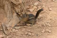 2022-04-14-Bryce-Canyon-10