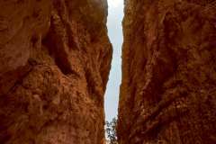 2022-04-14-Bryce-Canyon-15