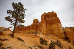 2022-04-14-Bryce-Canyon-17