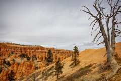 2022-04-14-Bryce-Canyon-18