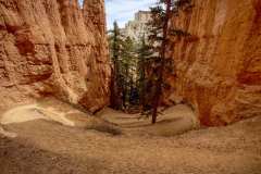 2022-04-14-Bryce-Canyon-21