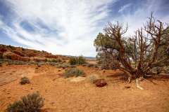 2022-04-15-Peekaboo-Slot-Canyon-02