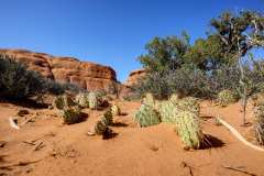 2022-04-17-Arches-NP-13