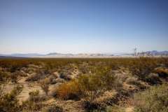 2022-04-20-Mojave-Dessert-01