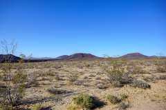 2022-04-20-Mojave-Dessert-15