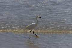 2022-04-21-Santa-Monica-08