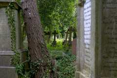 2022-06-28-London-10-Highgate-Cemetery